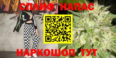 герыч Моздок