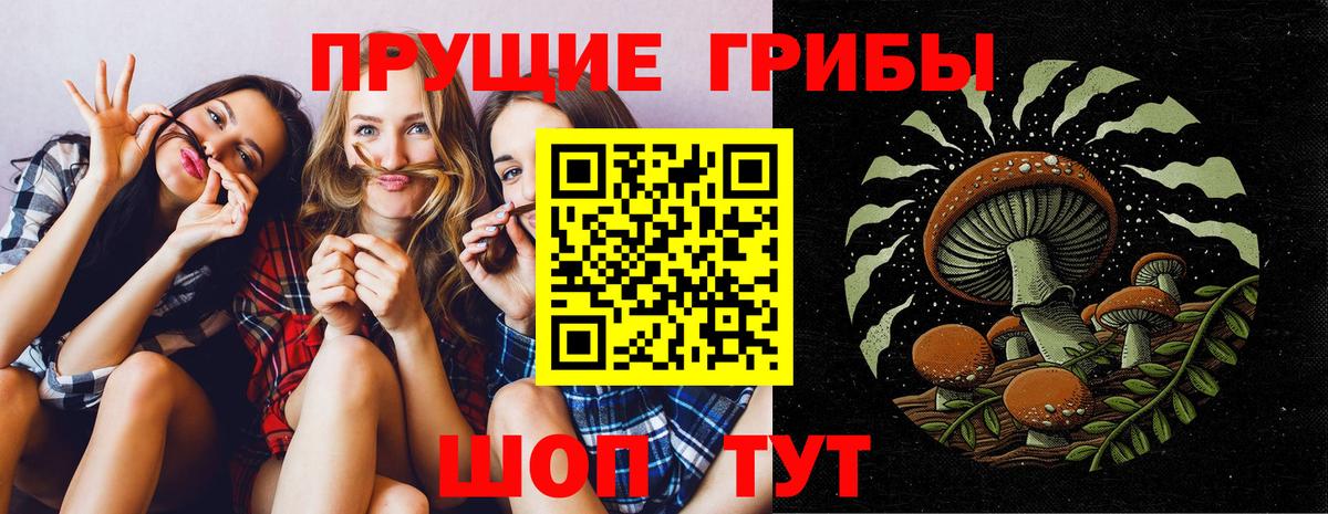 Псилоцибиновые грибы GOLDEN TEACHER  Галлюциногенные грибы Psilocybine cubensis  Дербент  дарнет шоп  Вход с VPN 