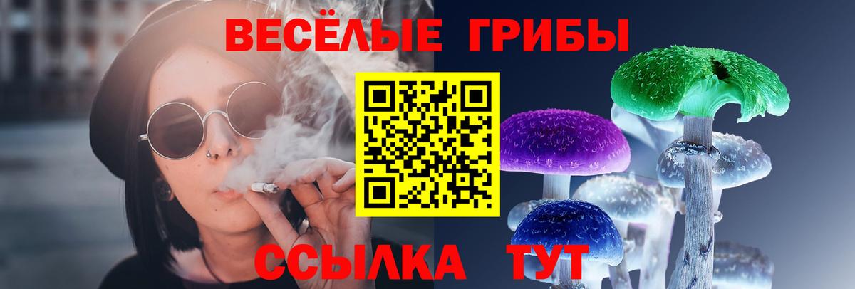 Псилоцибиновые грибы GOLDEN TEACHER Дербент